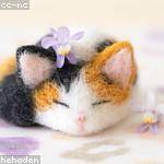 Ocie Altenwerth Profile Picture