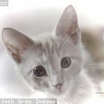 Valentina Fay Profile Picture