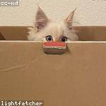 Beatrice Macejkovic Profile Picture