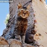Coby Watsica Profile Picture