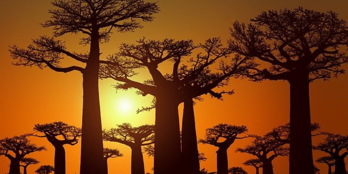 Madagascar eVisa for German Travelers: A Complete Guide